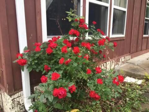 Keuka Lake Views And Hiking Hammondsport Εξωτερικό φωτογραφία